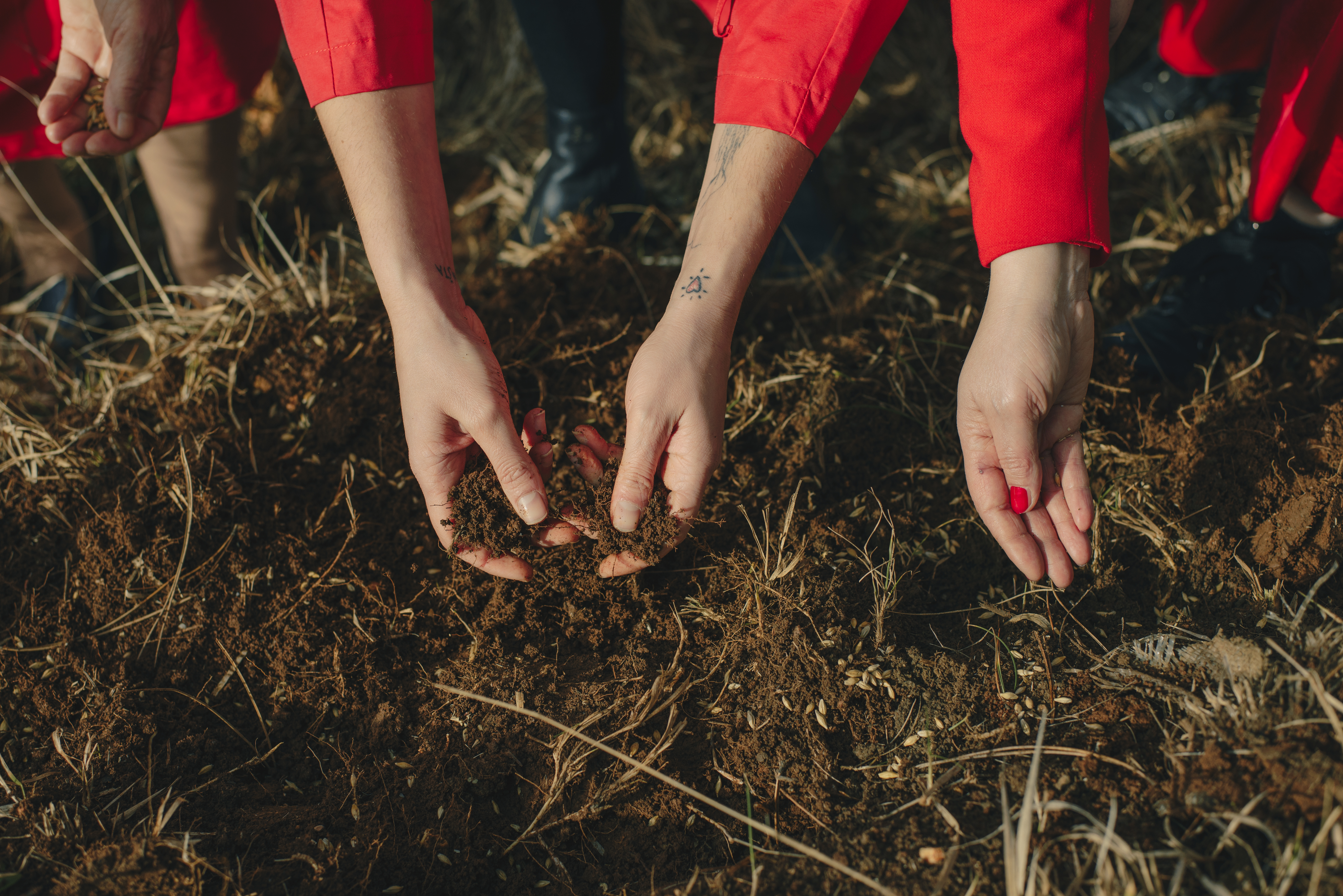 Intervju petkom - Smirna Kulenović: „Želim pokušati vratiti život na mjesto gdje su mnogi naši voljeni izgubili živote" 2 sadnja