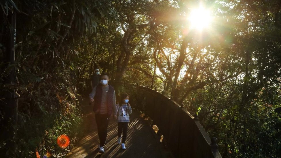 Korona virus i vitamin D: Zašto vam je potreban i kako može da pomogne u borbi protiv virusa kao što je Kovid 3 A family walk along a hiking trail in Hong Kong, as sunlight filters through the trees
