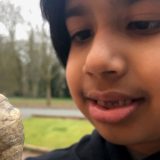Velika Britanija, priroda i nauka: Šestogodišnjak pronašao fosil „star 488 miliona godina" 6