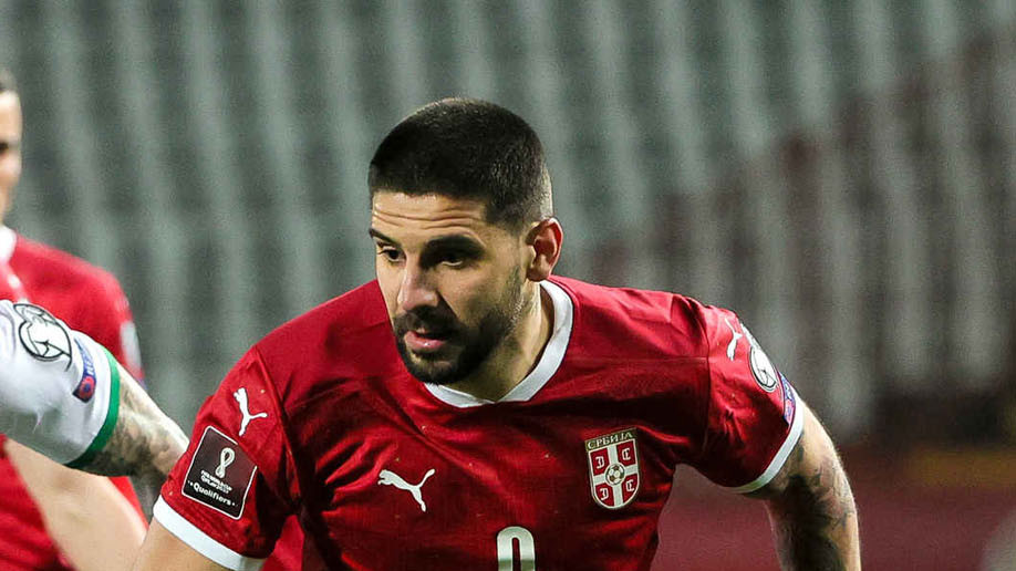 Aleksandar Mitrović: Rođeni pobednik 1