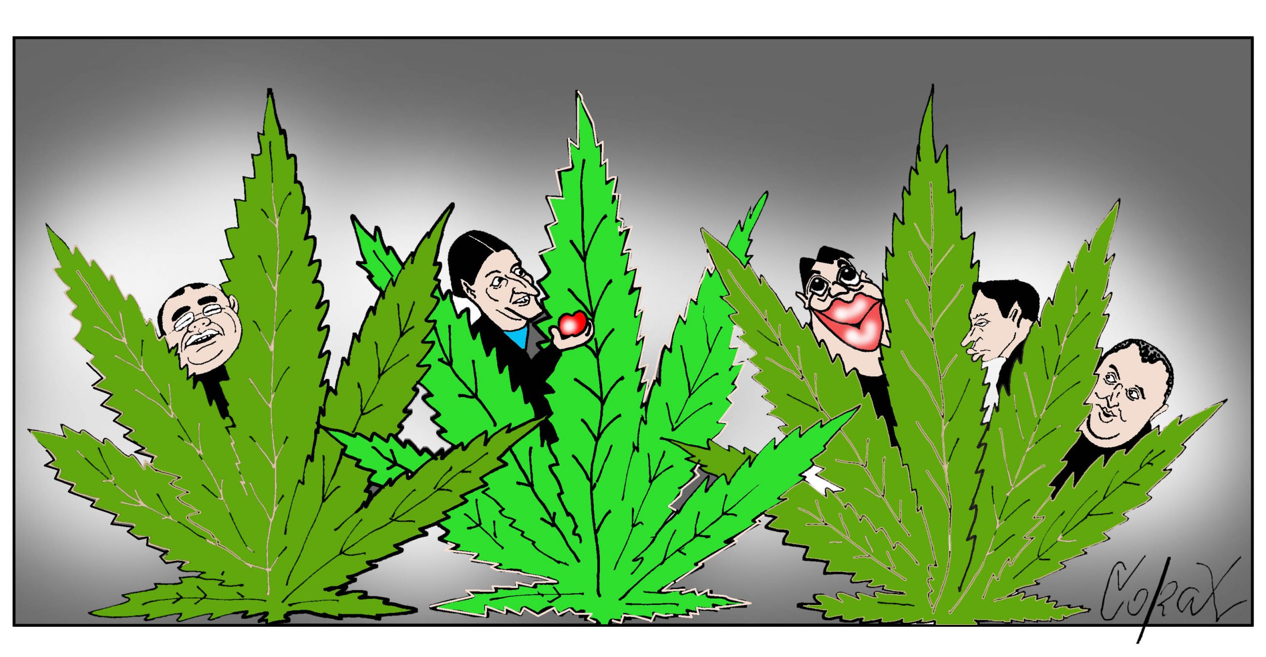 Corax 8