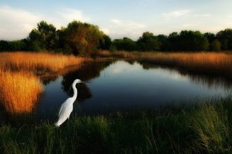 Sa objektivom u rukama 6