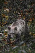 Sa objektivom u rukama 5