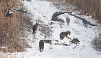 Sa objektivom u rukama 4