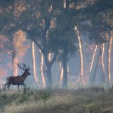 Sa objektivom u rukama 13