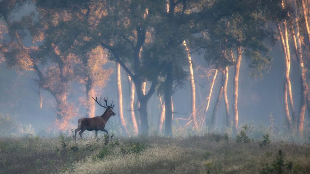 Sa objektivom u rukama 1