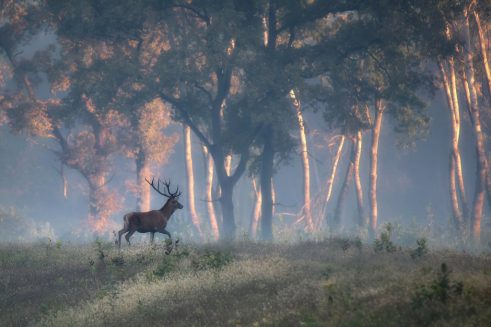 Sa objektivom u rukama 9