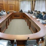 Brnabić i predstavnici muzičara se dogovorili da pronađu način podrške države 14