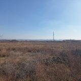 Nova ekonomija: Na Makiškom polju zbog metroa sledi seča drveća, isušivanje, nasipanje peskom 2