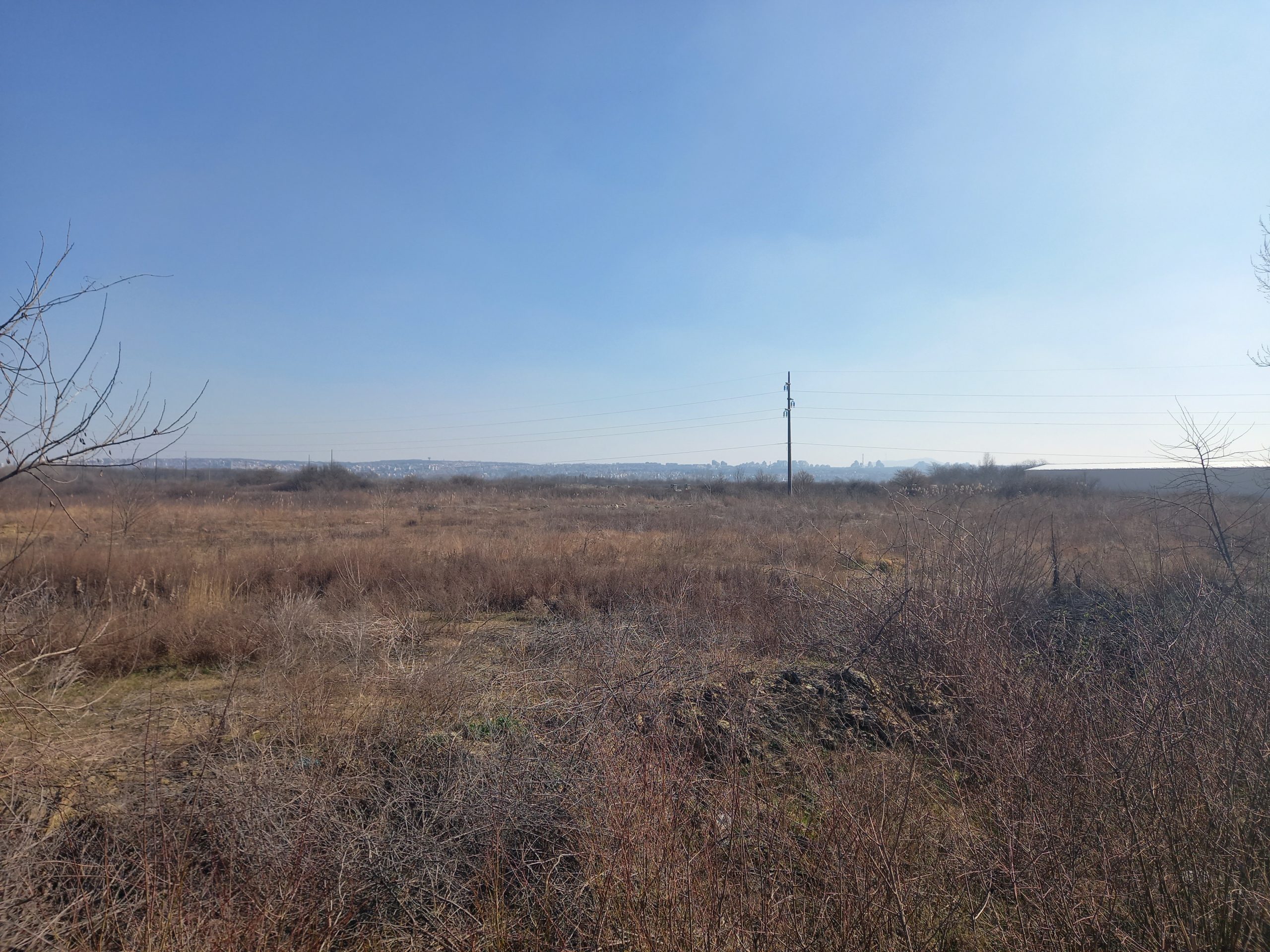 Nova ekonomija: Na Makiškom polju zbog metroa sledi seča drveća, isušivanje, nasipanje peskom 1