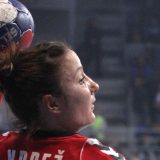 Biće žara koji nam je možda falio 1