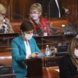 Brnabić: Spušteni cenzus je u najboljem duhu demokratije 8