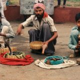Indija: Ulice Starog Delhija 2