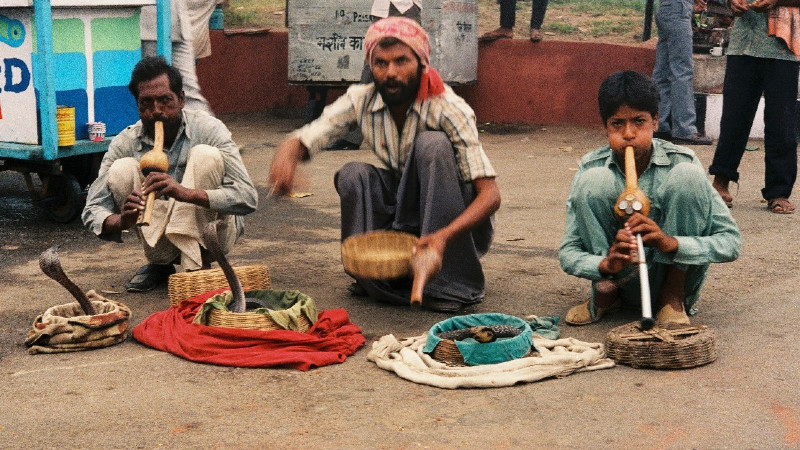 Indija: Ulice Starog Delhija 1
