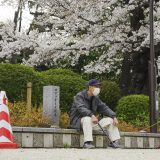 Cvetanje japanske trešnje ove godine počelo najranije u poslednjih 70 godina 4