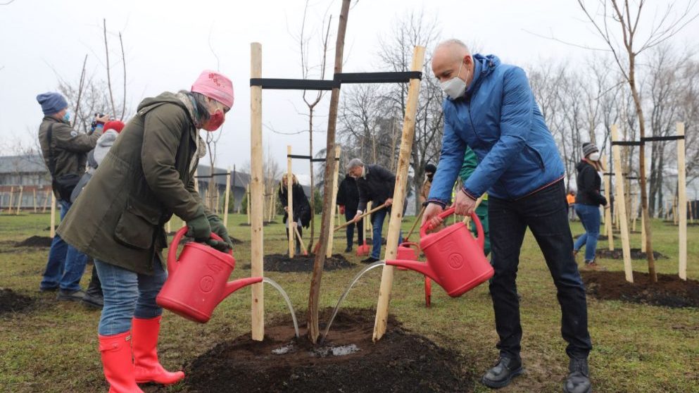 Zasađeno 189 stabala u okviru akcije "Drvo za Beograd" 1