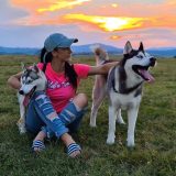 Zlatibor destinacija i za kućne ljubimce  10