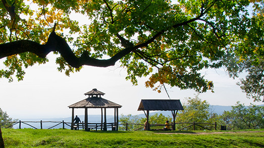 Planinska oaza u Panonskoj niziji 1