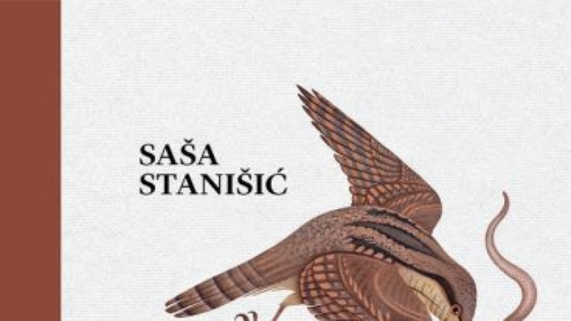 Roman o zavičajima, gde god oni bili 1