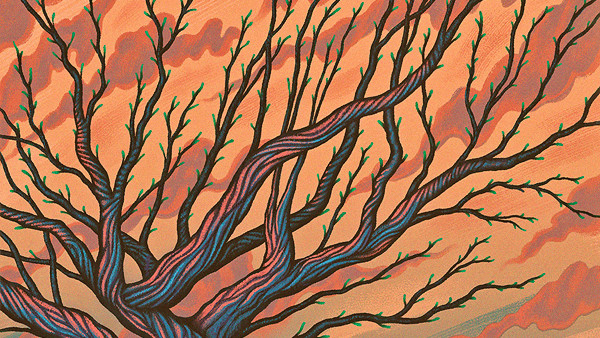 Dnevnički zapisi nakon eseja 1 Dnevnički zapisi nakon eseja 1