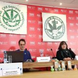 Kanabis koristi više od pola miliona građana Srbije 8