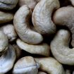 10 razloga zašto treba da uvedete indijske orahe u ishranu 12