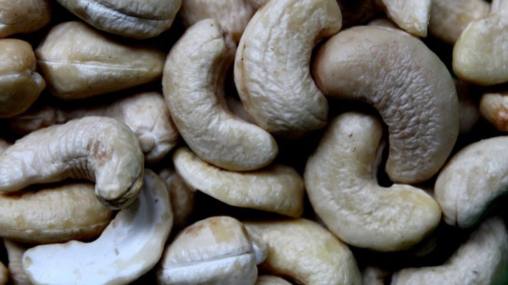 10 razloga zašto treba da uvedete indijske orahe u ishranu 1