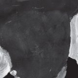 Ideja Evrope u utopijama između dva svetska rata 3