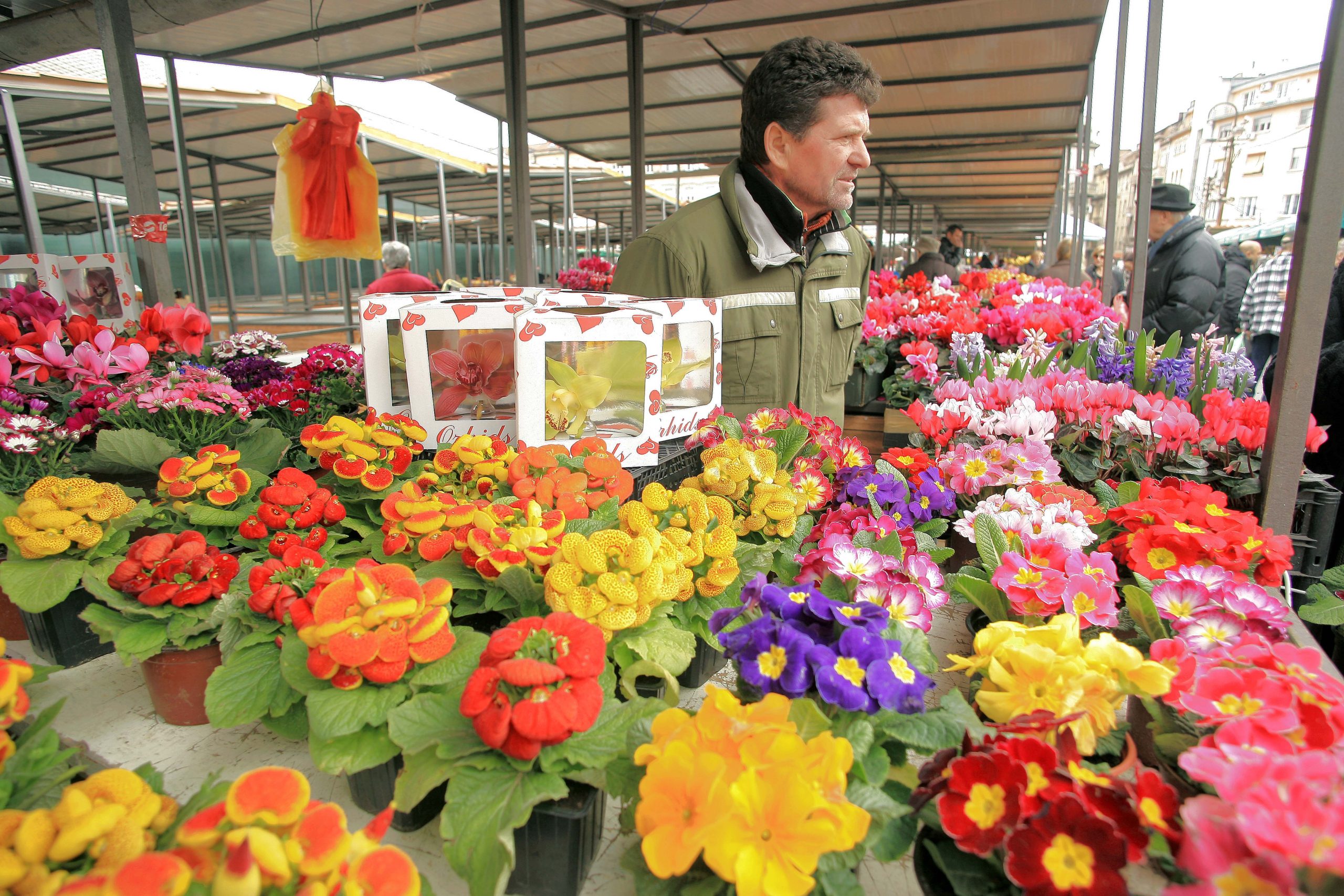 PKS: Veliki potencijal Srbije u cvećarstvu, potrebno udruživanje proizvođača 1