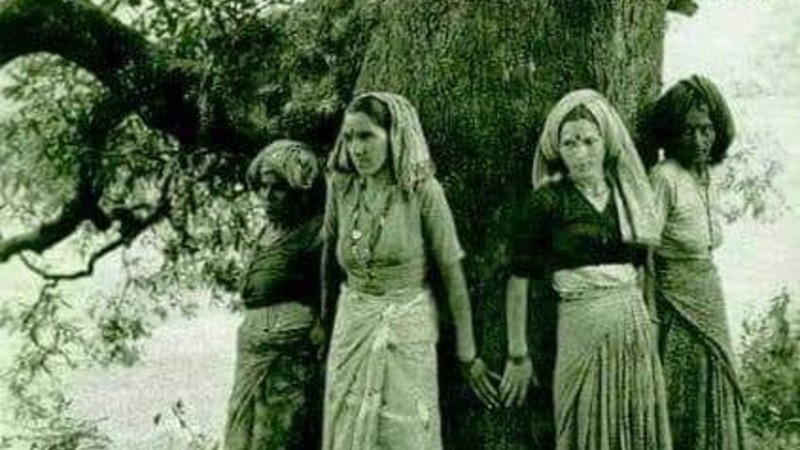 Dijana Milošević o "drveću i solidarnosti" 1