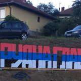 Zašto je u Rudnoj Glavi Vučić najavio vakcinisanje? 4