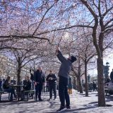 "Švedski model" opet pod velikim ispitom, sada su drugi u Evropi po stopi zaraze 14