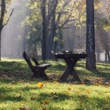 Pajić: Građevinska inspekcija da spreči divlju gradnju u zaštićenoj zoni Zvezdarske šume 2