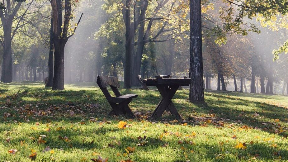 CLS: Ugrožena Zvezdarska šuma 1