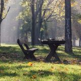 Dedovina zarasla vegetacijom ili javno dobro koje treba zaštititi: Ima li razloga za brigu zbog najavljene izgradnje u zoni Zvezdarske šume? 5