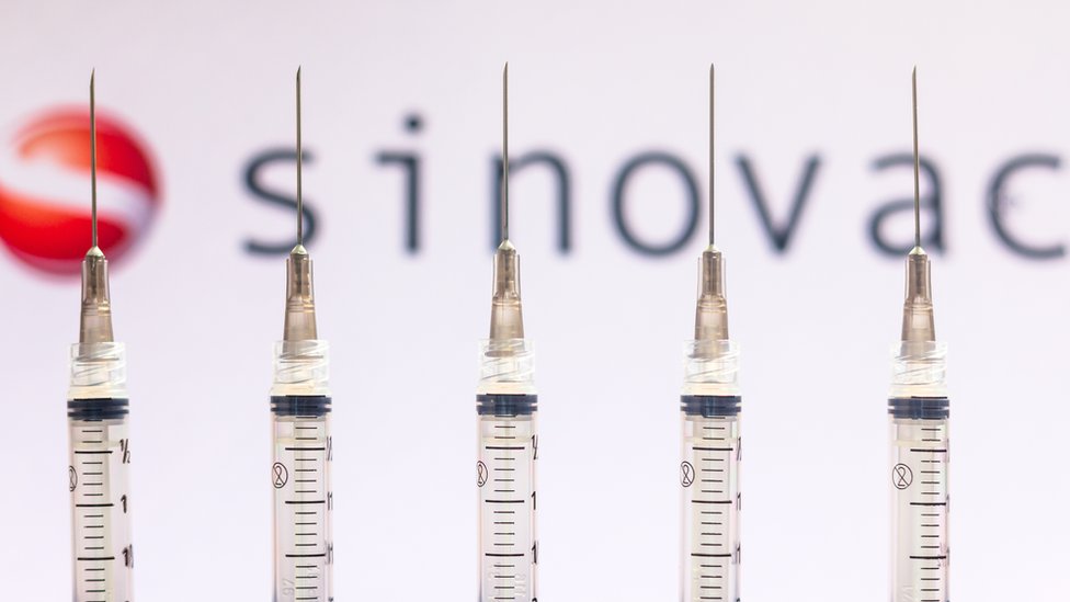 Nekoliko različitih vrsta vakcina proizvođača Sinovak Bitoek