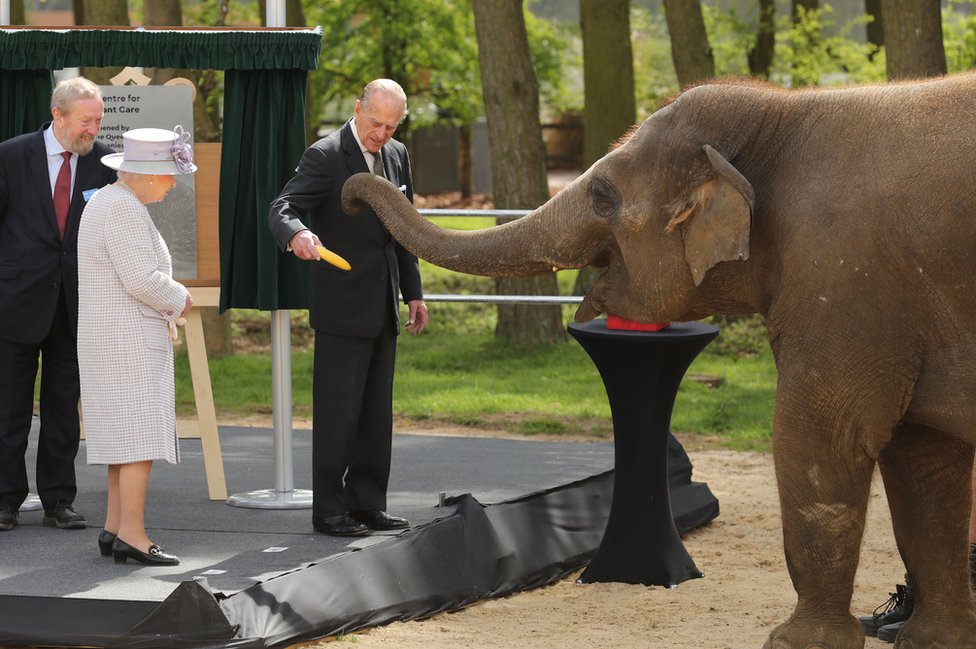 U aprilu 2017, vojvoda je pratio kraljicu na otvaranju centra za slonove u Vipsnejd zoološkom vrtu u Bedfordširu.