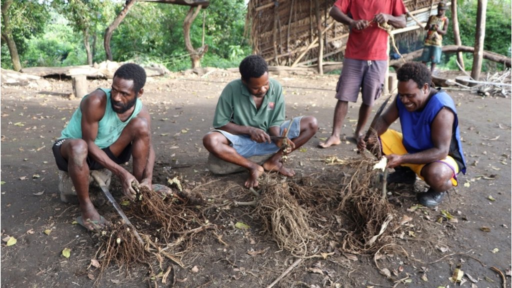 Prince Philip devotees prepare kava roots to be drunk at an upcoming mourning ceremony to take place for the late British prince who passed away Friday at age 99, in Yaohnanen village, Tanna island, Vanuatu 10 April 2021
