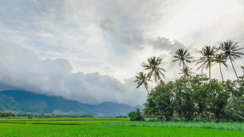 Biznis i bogataši: „Ne bih menjao ovaj život ni za šta“ - milijarder iz Silicijumske doline koji vodi kompaniju iz zabitog sela 9 Sridhar's village