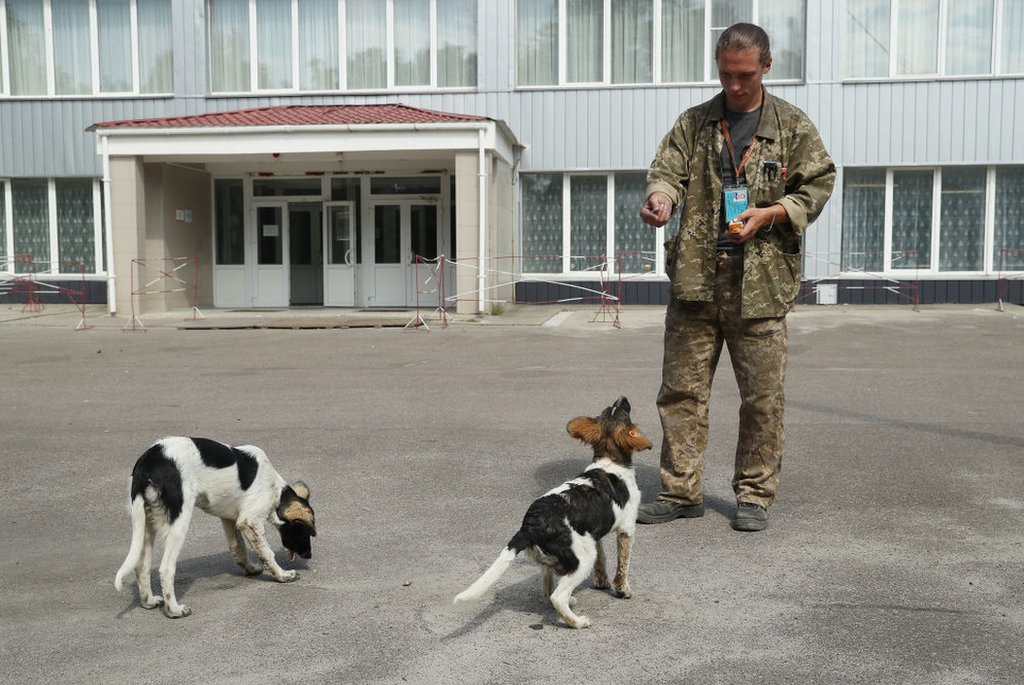 Ukrajina i katastrofa u Černobilju: Čuvari koji brinu o napuštenim psima u ozračenoj zoni 3 Sergey Shamray, a worker at the Chernobyl nuclear power plant, tosses pieces of bread to stray dogs outside the workers cafeteria inside the exclusion zone at the Chernobyl plant on August 18, 2017