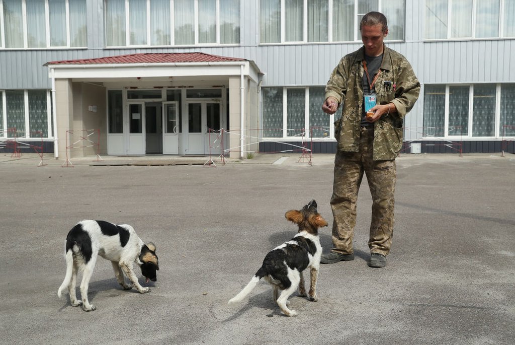 Sergey Shamray, a worker at the Chernobyl nuclear power plant, tosses pieces of bread to stray dogs outside the workers cafeteria inside the exclusion zone at the Chernobyl plant on August 18, 2017