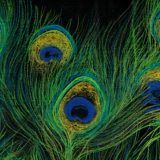 Izložba Vukice Mikače i Dejana S. Bogojevića u Zrenjaninu 1