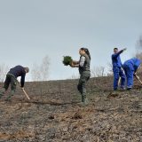 Vlasinska visoravan sa novom šumom 3