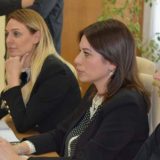 Vujović sa predstavnicima 'Ziđina' dogovorila mere za unapređenje zaštite životne sredine 2