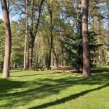 Sunce, vreme, avala, suma