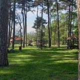 Filipini usvojili zakon kojim se od studenata zahteva da posade bar 10 stabala ako žele da diplomiraju 11