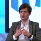 Brnabić: Ekološki ustanak nije bio politički skup, ali su ga neki politizovali 9