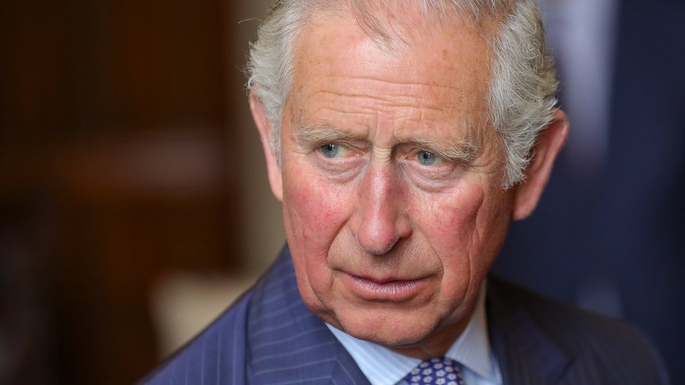 Kraljevsko porodično stablo i linija nasledstva 3 Prince Charles