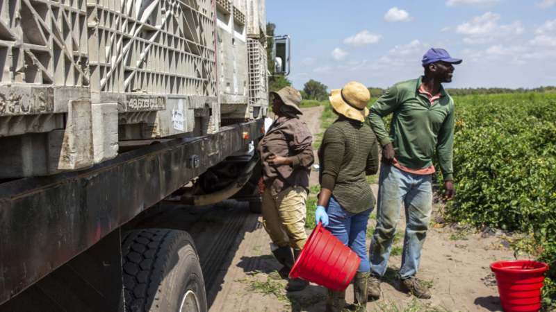 Vanredno stanje i evakucije na Floridi zbog curenja na rezervoaru otpadnih voda 1
