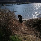 U akciji čišćenja Nacionalnog parka Đerdap prikupljeno preko stotinu džakova smeća 5